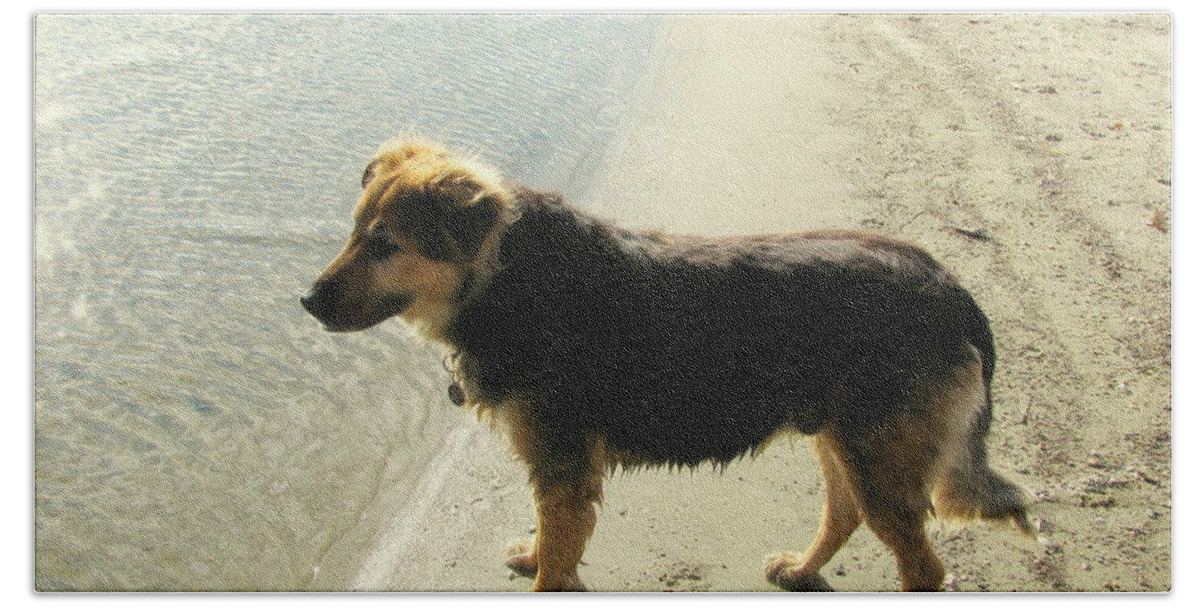 Dog Beach Towel featuring the photograph Dog Watching by Leone Lund