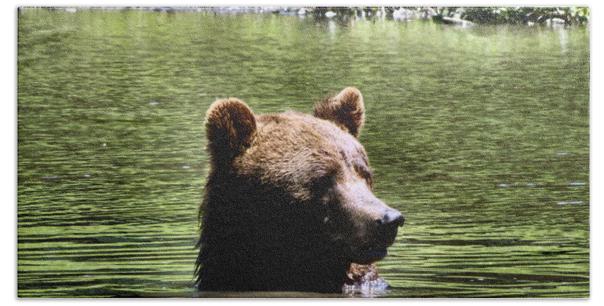 Bear Beach Towel featuring the photograph Doggy Paddle by Art Dingo