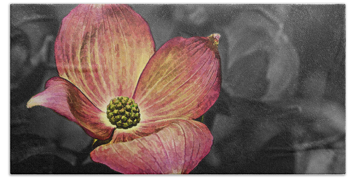 Ron Roberts Beach Towel featuring the photograph Dogwood Bloom by Ron Roberts