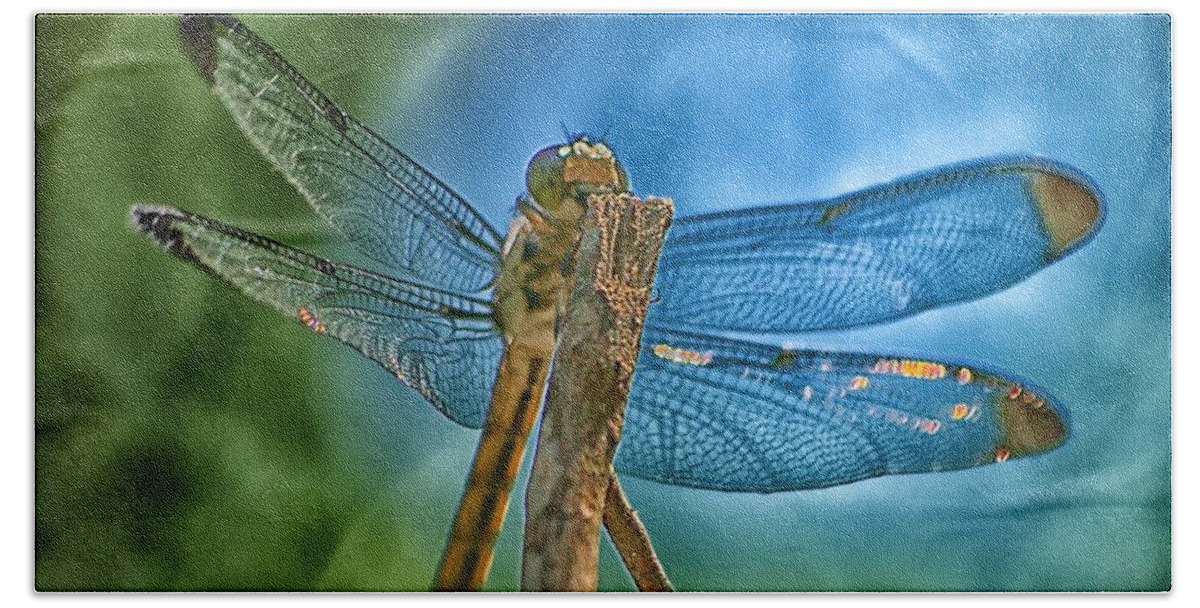 Dragonfly Beach Towel featuring the photograph Dragonfly by Dennis Baswell