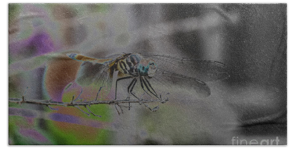 Insect Beach Towel featuring the photograph Dragonfly by Donna Brown