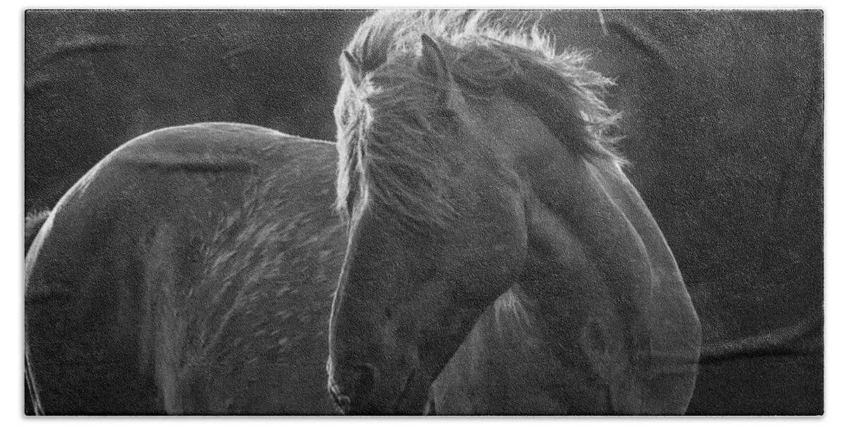 Wild Beach Towel featuring the photograph Dramatic Wild Mustang by Bob Decker