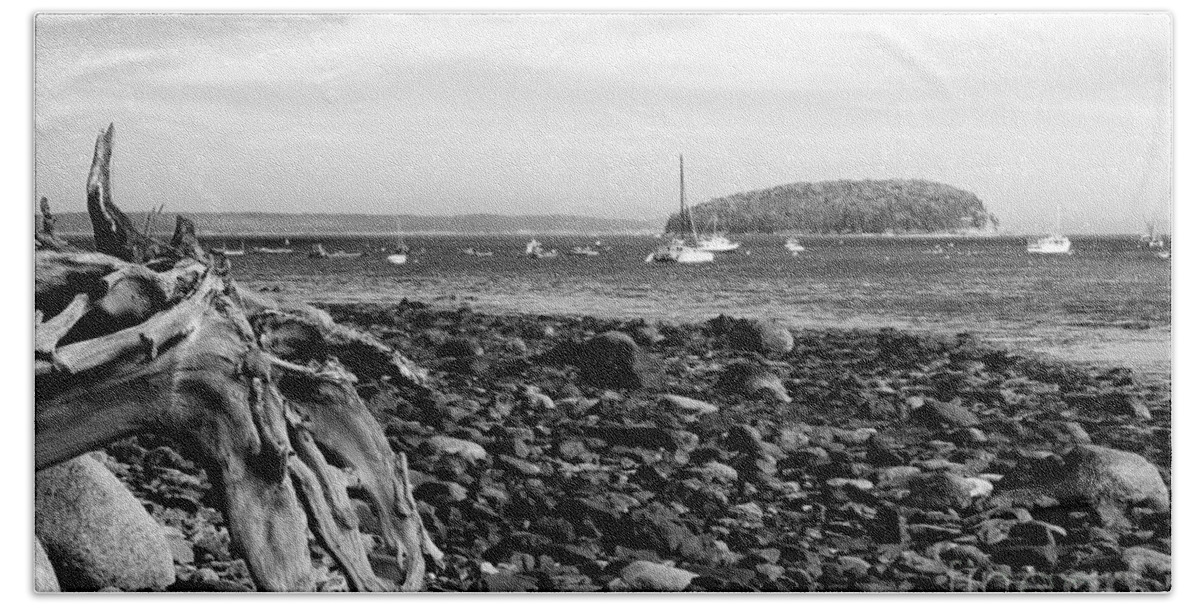 Driftwood On Rocky Beach Beach Towel featuring the photograph Driftwood and Harbor by Jemmy Archer