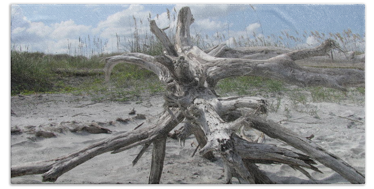 Landscape Beach Sheet featuring the photograph Driftwood Tree by Ellen Meakin