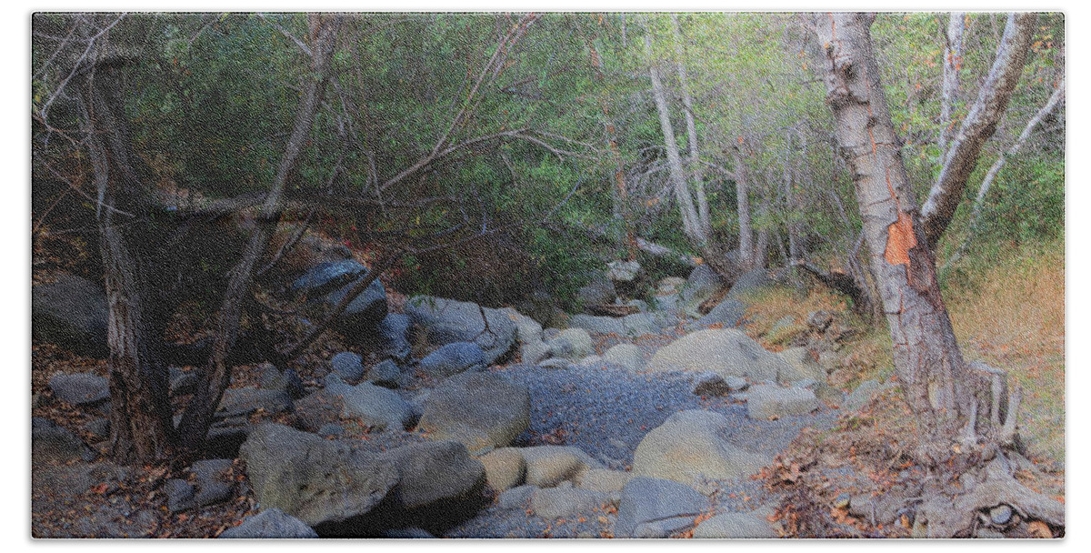 Tree Beach Towel featuring the photograph Dry Matilija Creek by Heidi Smith