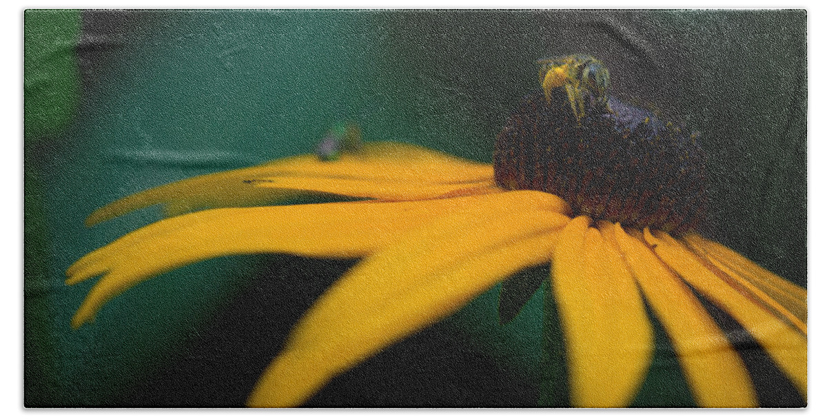 Bee Beach Towel featuring the photograph Dusty Bee by Shane Holsclaw