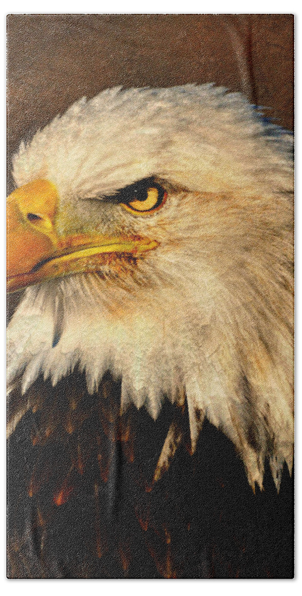 Eagle Beach Towel featuring the photograph Eagle 51 by Marty Koch
