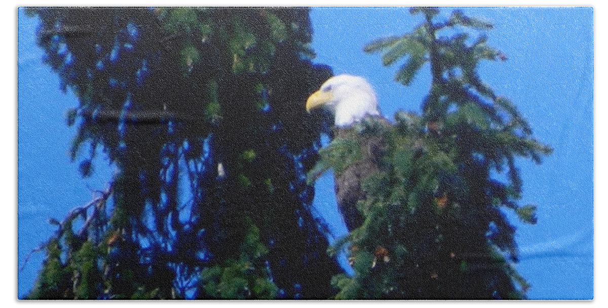 Oregon Beach Towel featuring the photograph Eagle In Branch Swing 2 by Gallery Of Hope 