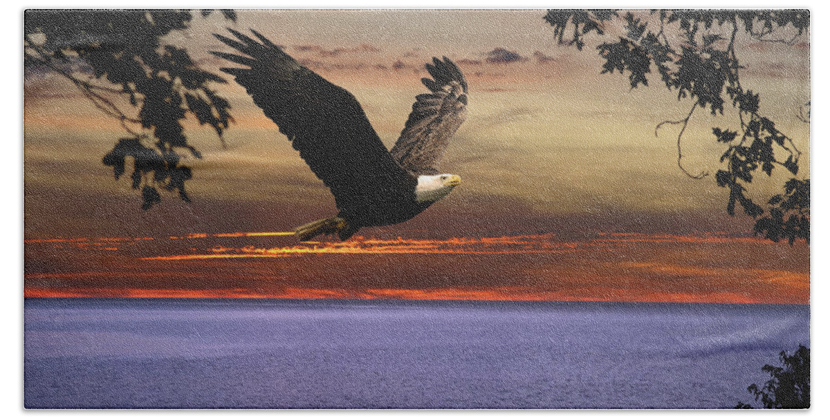 American Bald Eagle Beach Towel featuring the photograph Eagle over Erie by Randall Branham