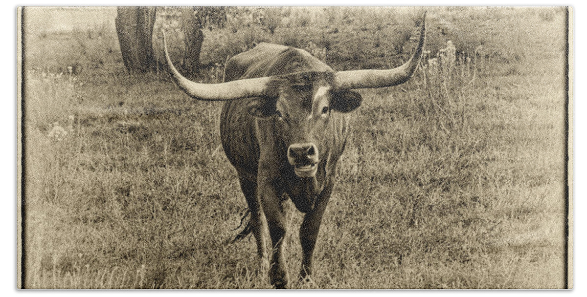 Longhorn Cattle Beach Towel featuring the photograph Eat Leaf Not Beef Sepia by Priscilla Burgers