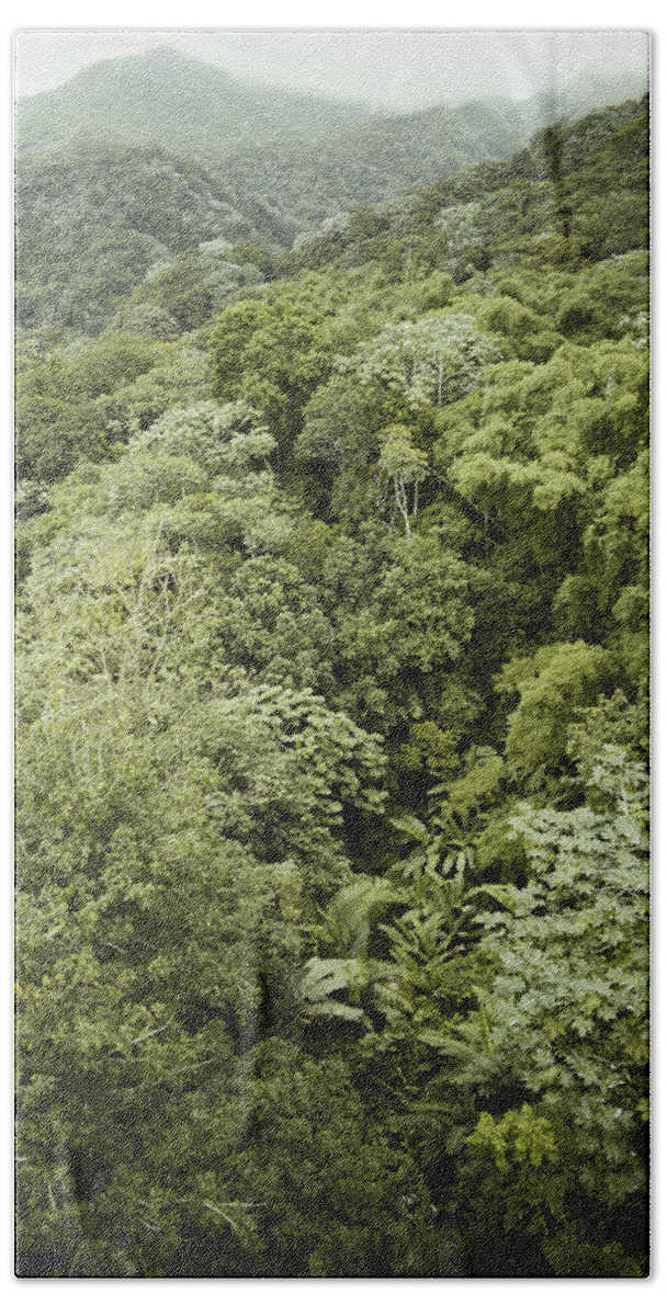 1976 Beach Towel featuring the photograph El Yunque, Puerto Rico by Carleton Ray