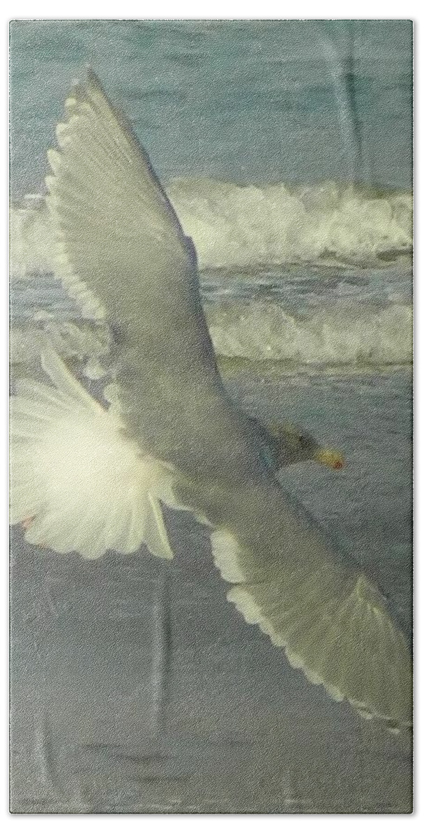 Seagulls Beach Towel featuring the photograph Elegance by Gallery Of Hope 