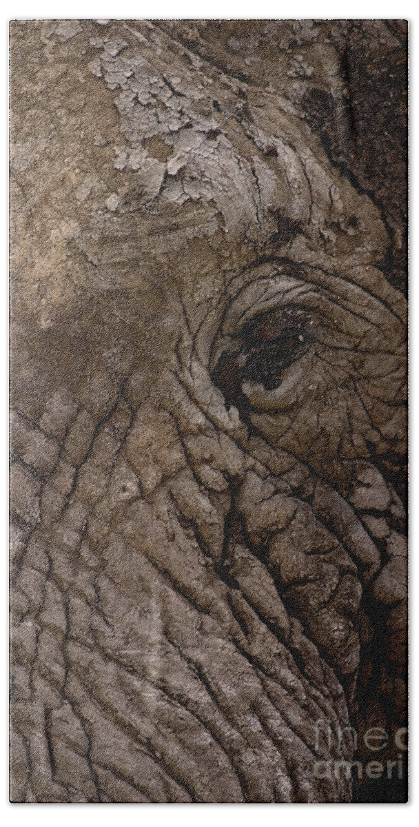 Elephantidae Loxodonta Africana Beach Towel featuring the photograph Elephant  #9210 by J L Woody Wooden