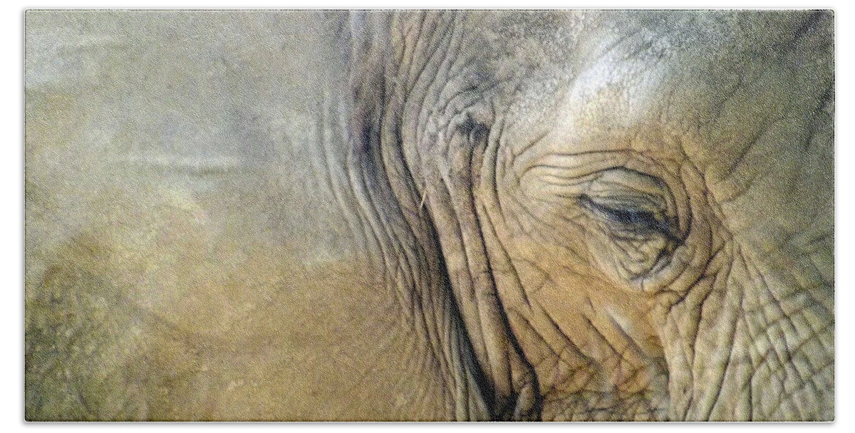Elephant Beach Towel featuring the photograph Elephant One by Joyce Wasser