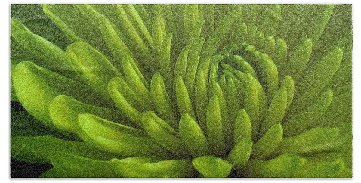 Flora Beach Sheet featuring the photograph Emerald Dahlia by Bruce Bley