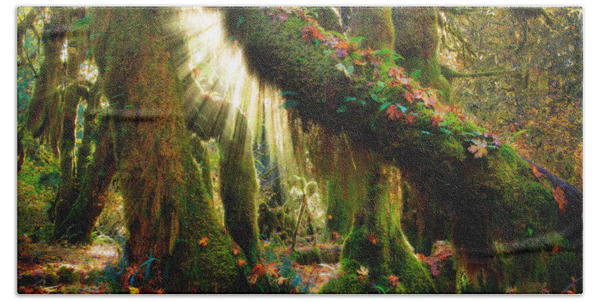 America Beach Towel featuring the photograph Enchanted Forest by Inge Johnsson