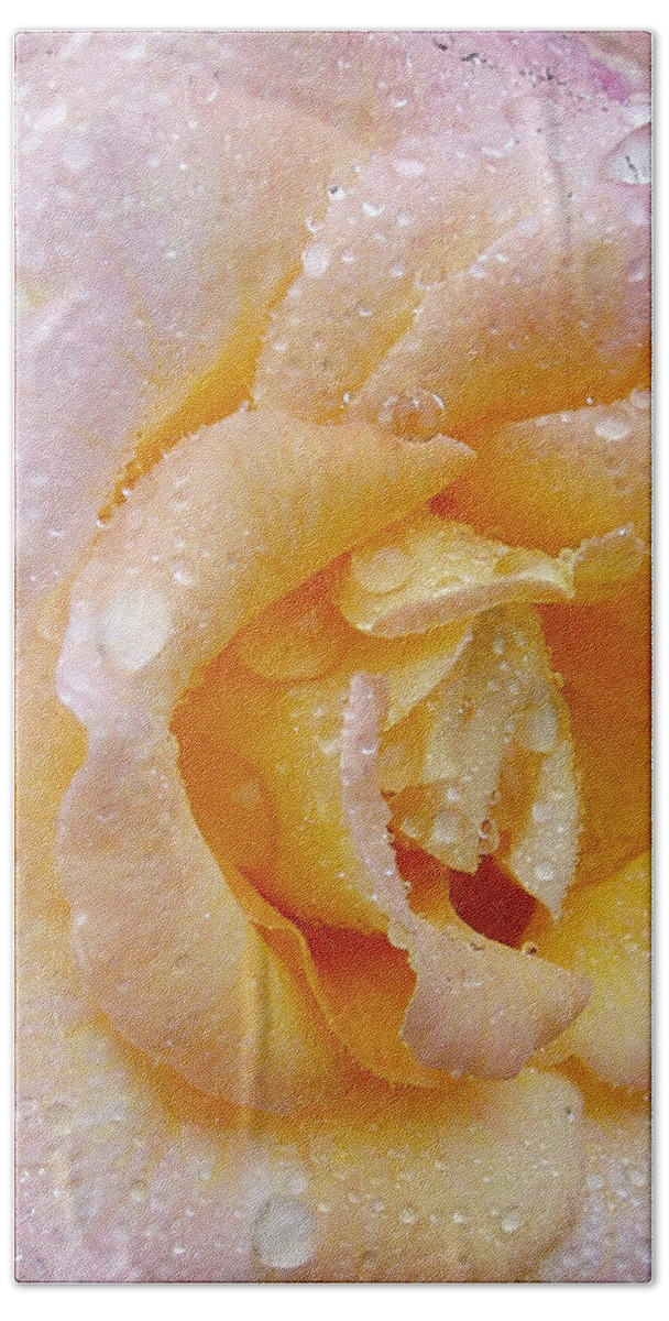 Rose Beach Towel featuring the photograph After the rain by Sue Leonard
