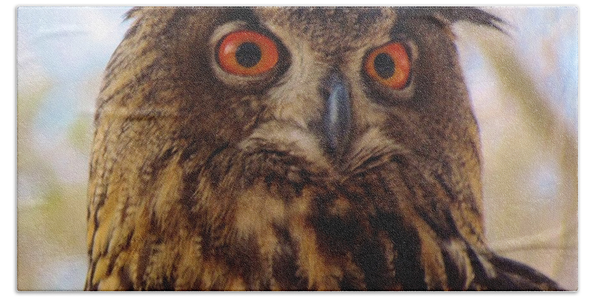 Owl Beach Towel featuring the photograph Eurasian Eagle Owl by Cynthia Guinn