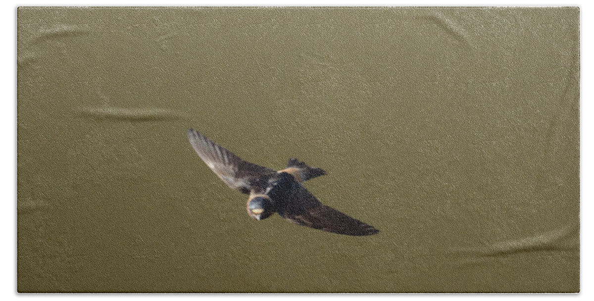 Birds Beach Towel featuring the photograph Even More Swallows - 16 by Christopher Plummer