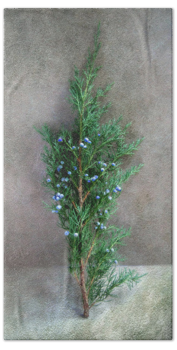 Christmas Beach Towel featuring the photograph Evergreen Bough with Blue Berries by Louise Kumpf