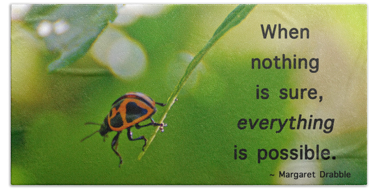 Ladybug Beach Towel featuring the photograph Everything Is Possible by Kerri Farley