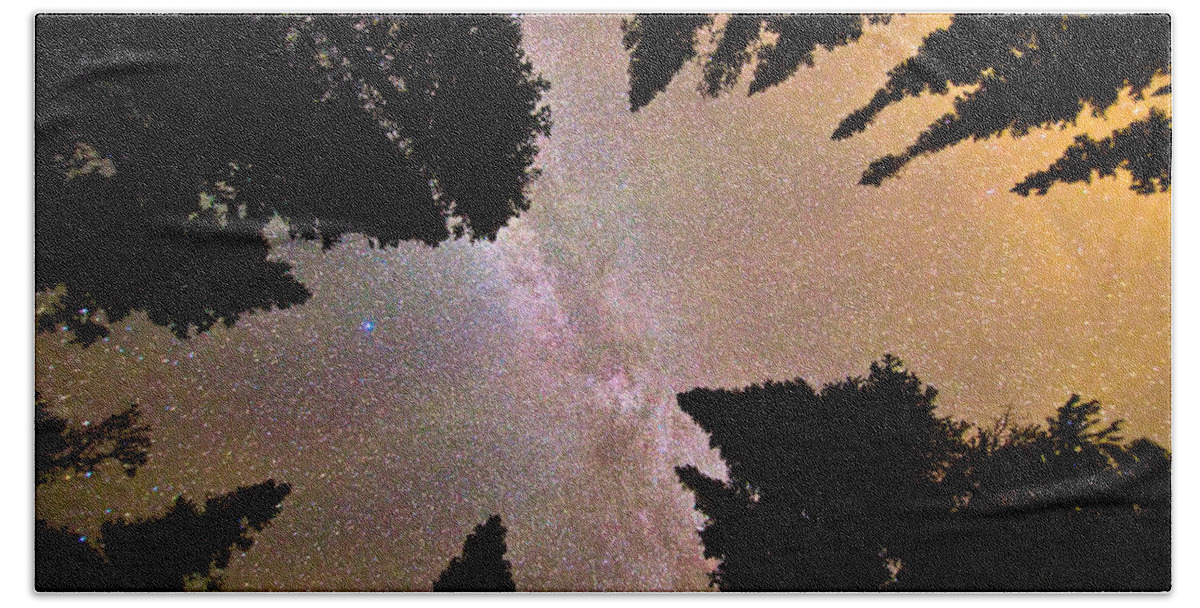 Milky Way Beach Towel featuring the photograph Eye of The Forest by James BO Insogna
