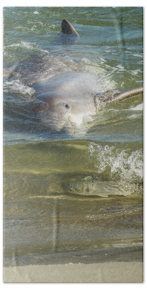 Dolphin Beach Sheet featuring the photograph Eye Spy by Patricia Schaefer