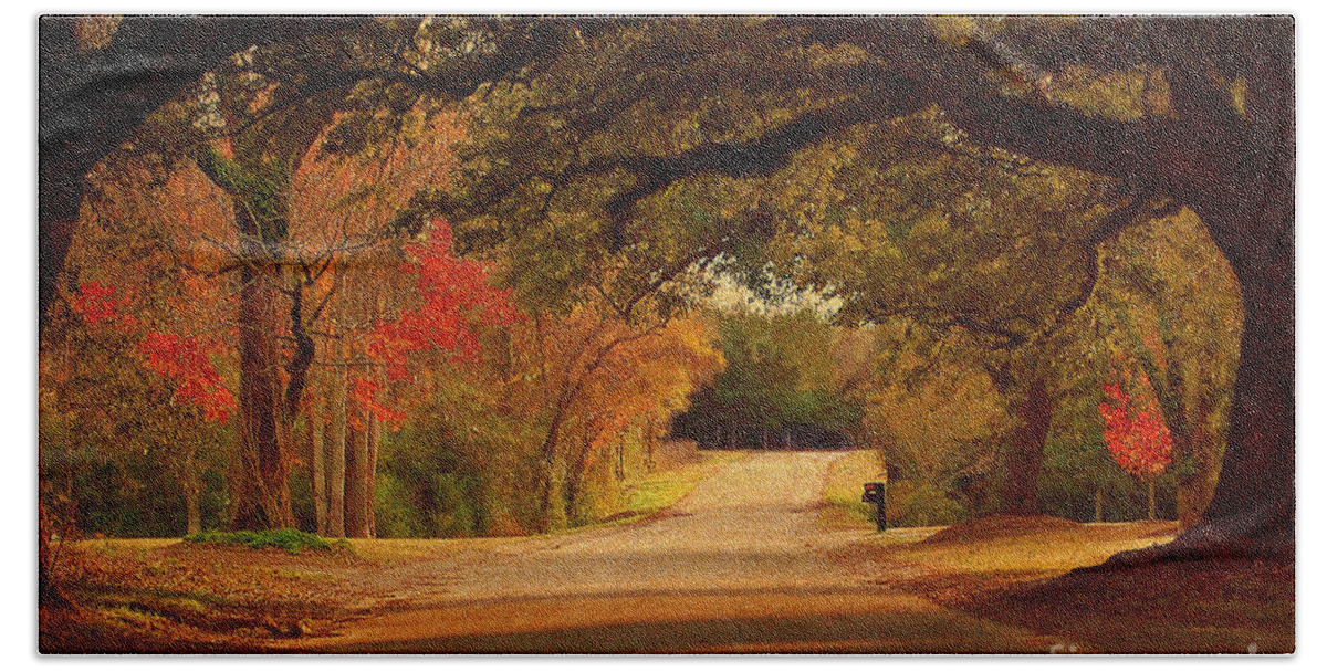 Fall Beach Towel featuring the photograph Fall Along A Country Road by Kathy Baccari