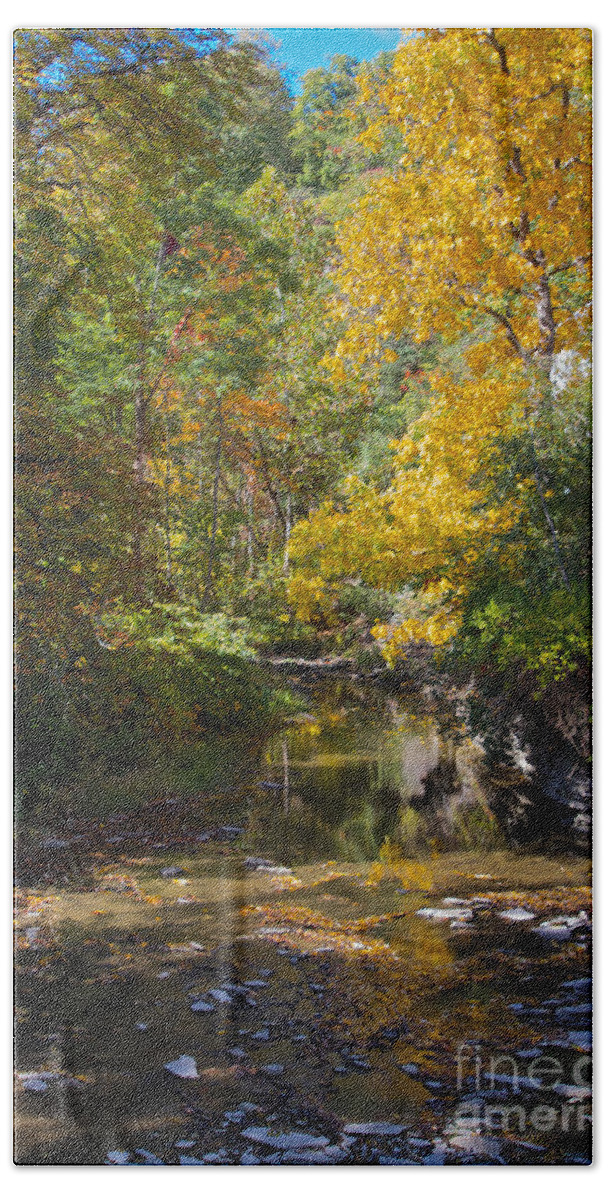 Yellow Beach Towel featuring the photograph Fall Foliage by William Norton