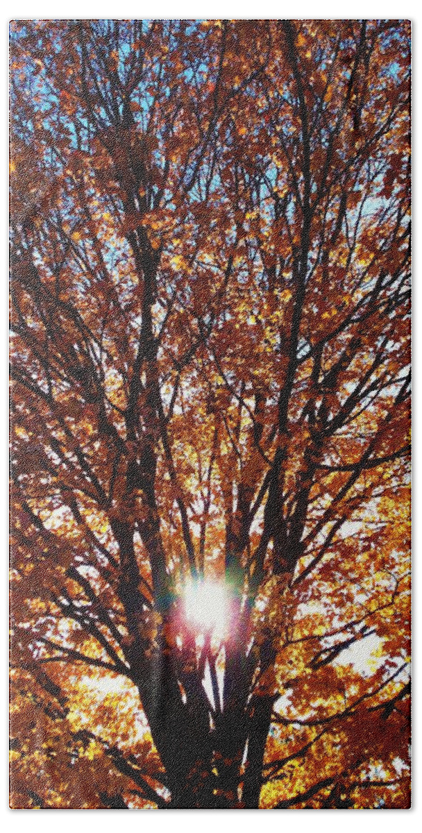 Autumn Beach Sheet featuring the photograph Fall Light by Darren Robinson