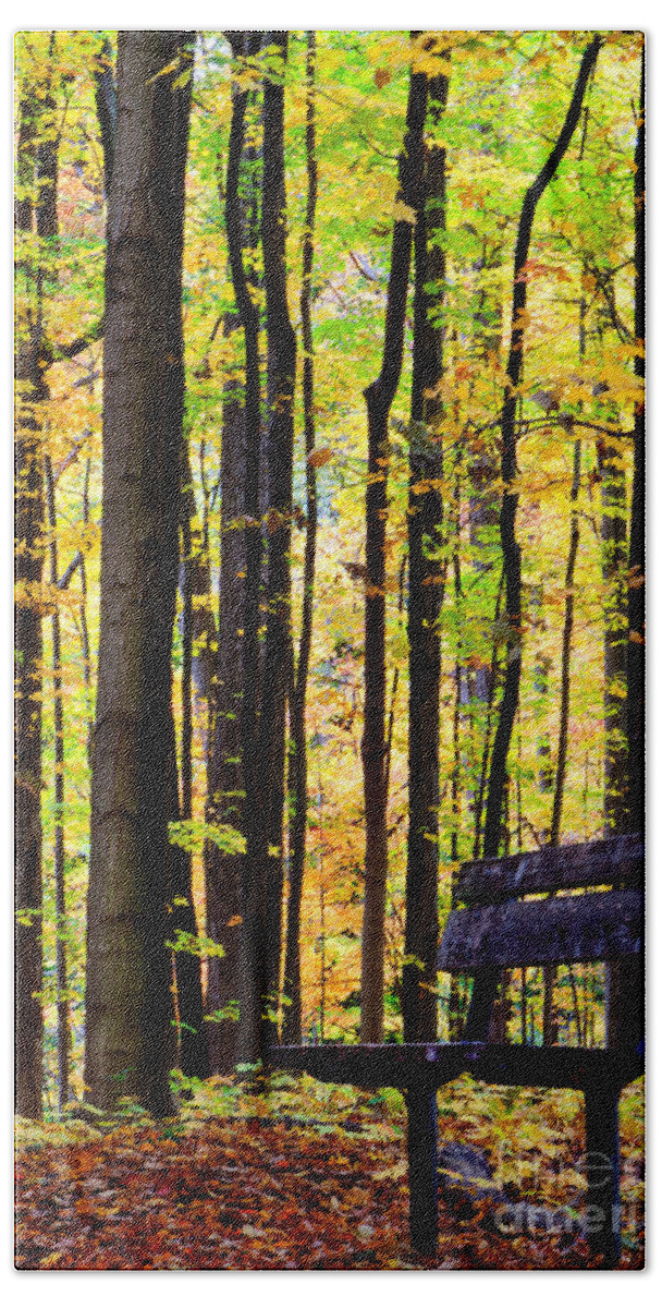 Leaves Beach Sheet featuring the photograph Fall Woods in Michigan by Michael Arend