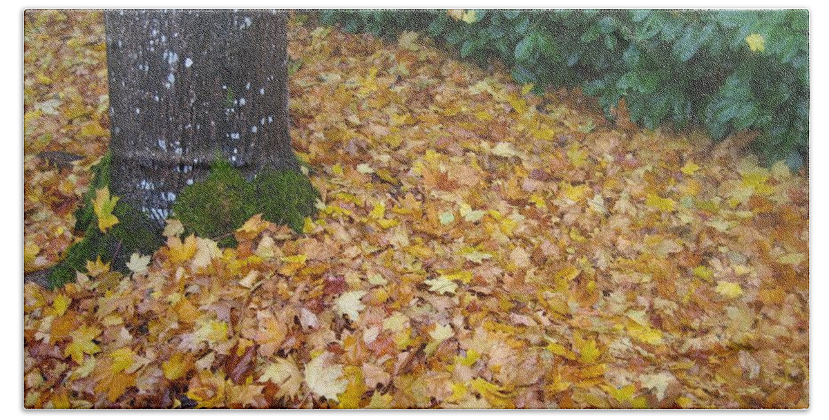 Autumn Beach Towel featuring the photograph Fallen Leaves by James B Toy