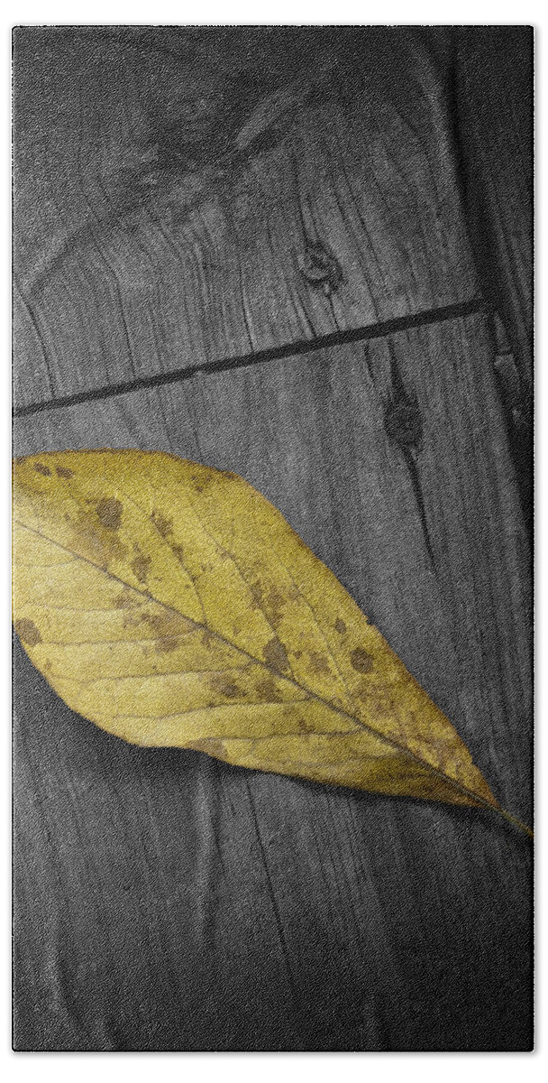 Art Beach Towel featuring the photograph Fallen Magnolia leaf on a Gray Deck by Randall Nyhof
