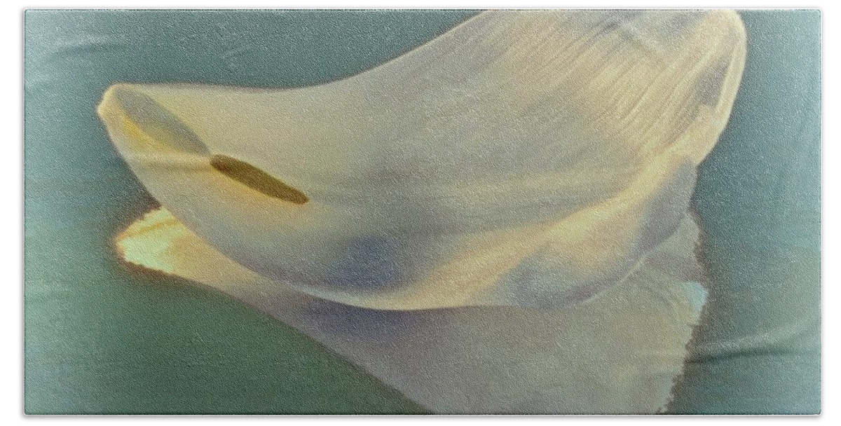 Flower Beach Towel featuring the photograph Fallen White Petal on Aqua by Phyllis Meinke
