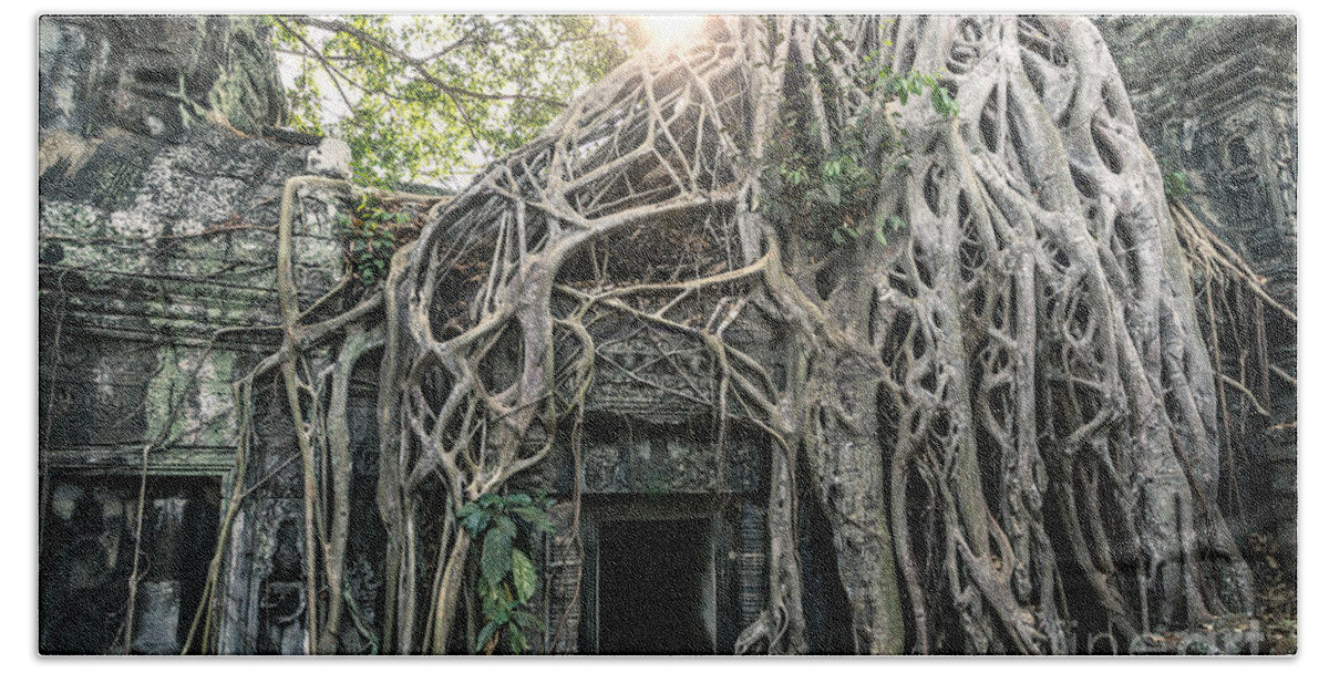 Tomb Beach Towel featuring the photograph Famous old temple ruin with giant tree roots - Angkor wat - Cambodia by Matteo Colombo