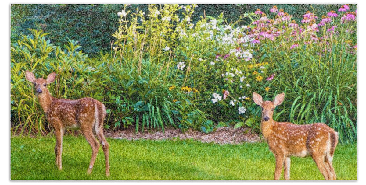 Deer Beach Towel featuring the photograph Fawns in the Afternoon Sun by Kristin Hatt