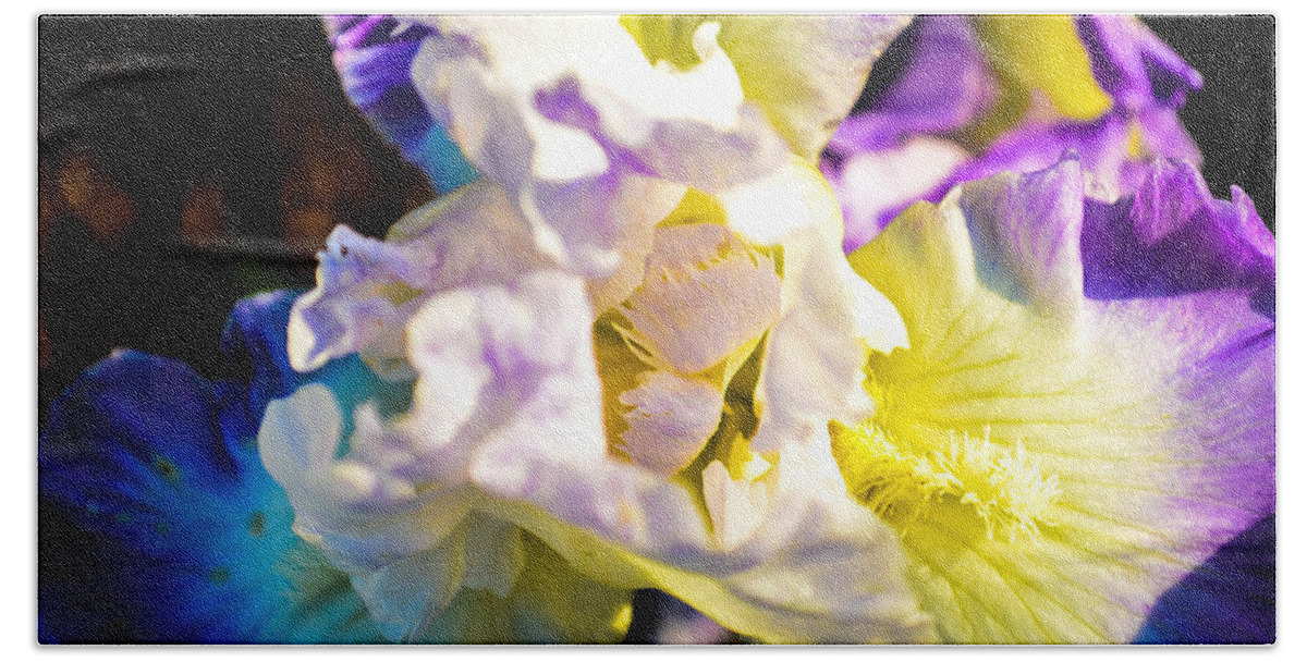 Flowers Beach Sheet featuring the photograph Fickle Iris by Mary Hahn Ward