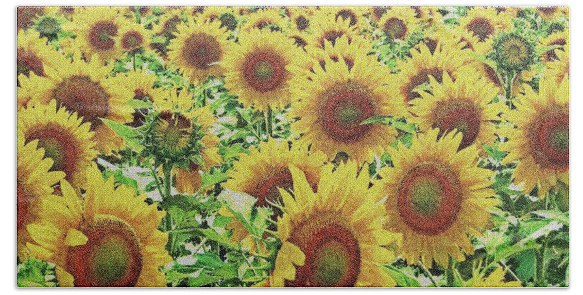 Field Of Sunflowers Beach Sheet featuring the photograph Field of Dreams by Robert ONeil