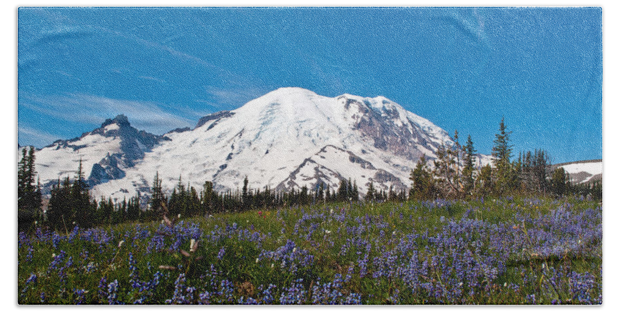 Mt. Rainier Beach Towel featuring the photograph Field of Lupines and Rainier by Tikvah's Hope
