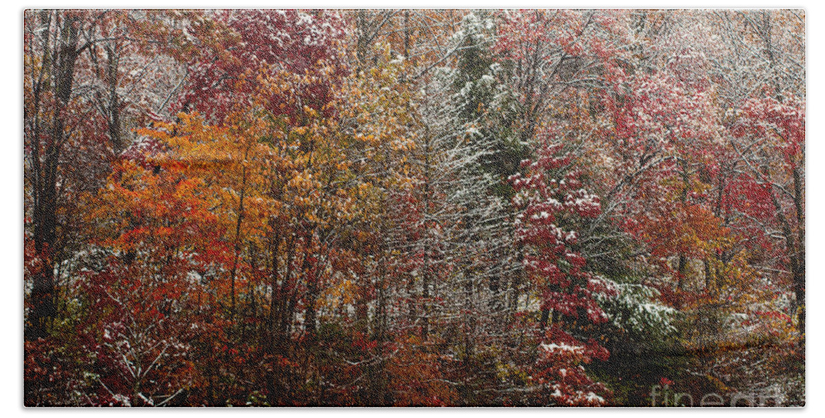 Fall Beach Towel featuring the photograph First snow by Les Palenik
