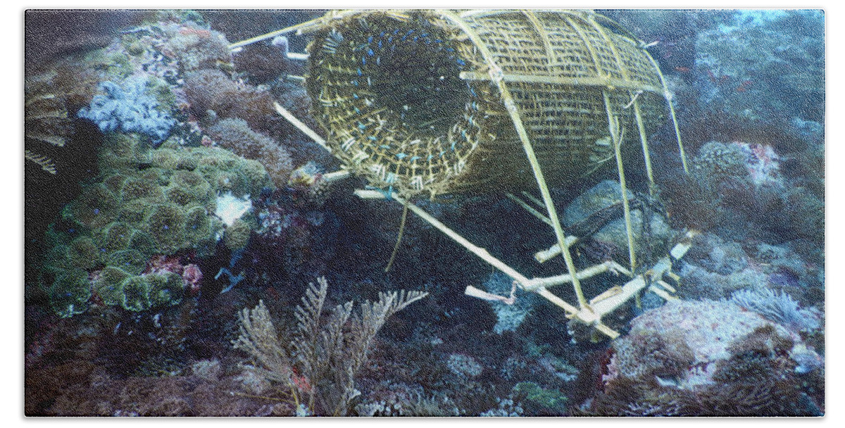 Biodiversity Beach Towel featuring the photograph Fish Trap On Coral Reef by Carleton Ray