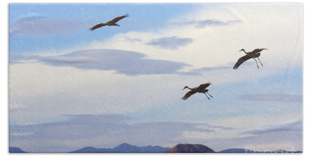 Sandhill Crane Beach Towel featuring the photograph Flight of the Sandhill Cranes by Michael Dawson