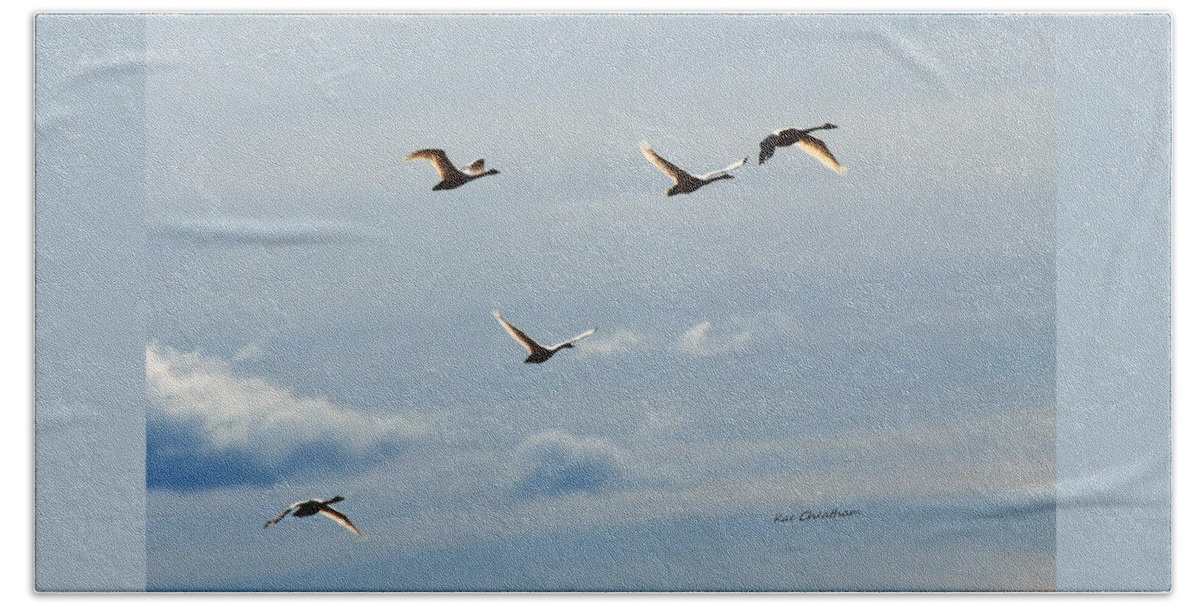 Birds Flying Beach Towel featuring the photograph Flights of Fancy 2 by Kae Cheatham