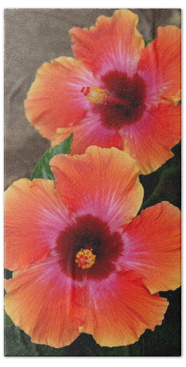 Hibiscus Beach Towel featuring the photograph Floral Beauty 2 by Christy Pooschke