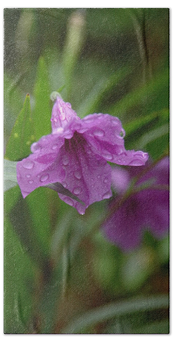 Rain On Purple Petunias Beach Sheet featuring the photograph Flower Bath by Pamela Smale Williams