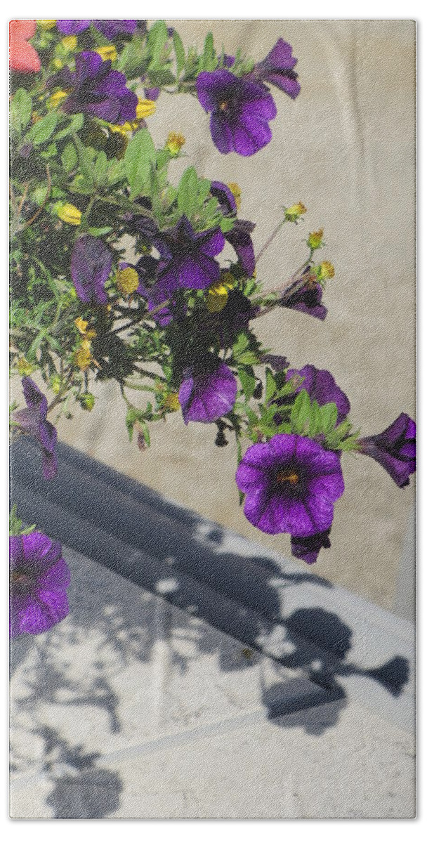 Flowers Beach Towel featuring the photograph Flower Pot and Shadows 2 by Anita Burgermeister