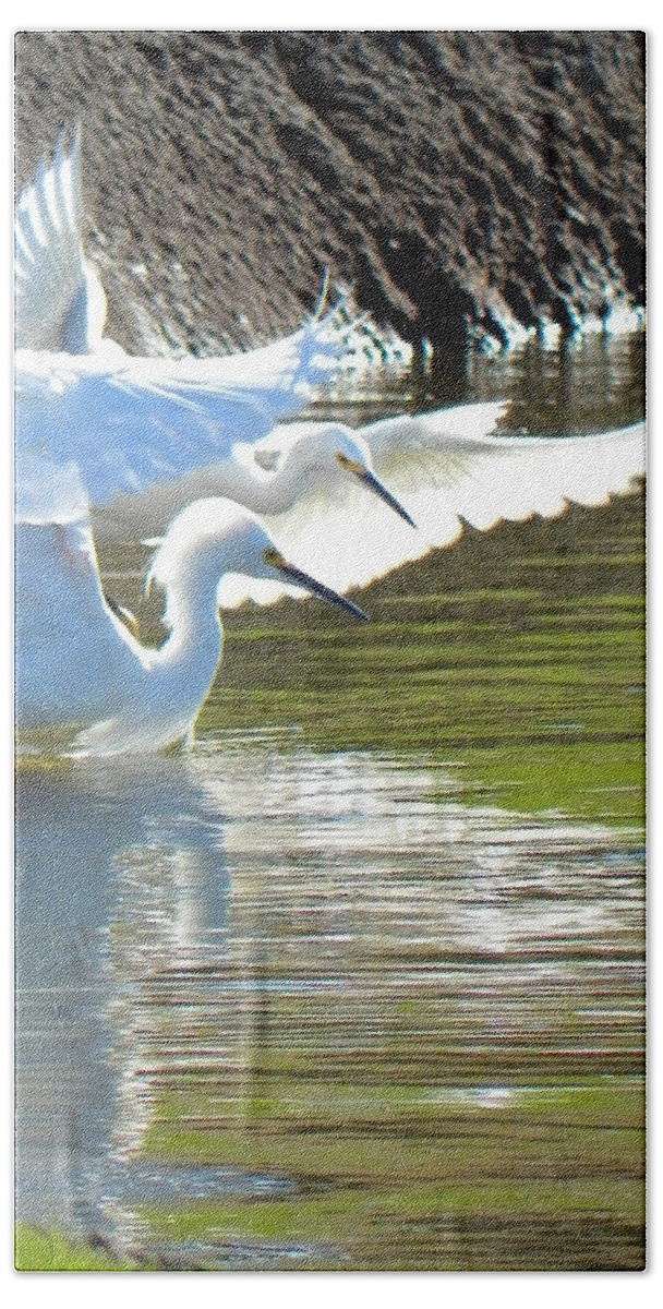 Egret Beach Sheet featuring the photograph Flurry by Deb Halloran