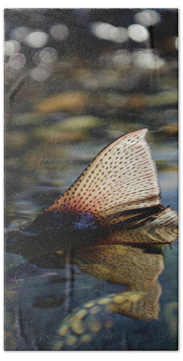 Fly Fishing For Trout In Patagonia Beach Towel by Mark Lance