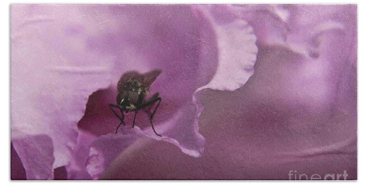 Rhododendron Beach Towel featuring the photograph Fly on a Rhododendron by Terri Waters