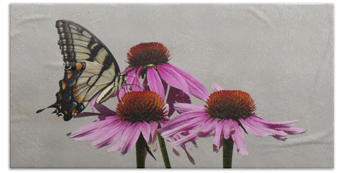 Butterfly Beach Towel featuring the photograph Flying flower by Karen McKenzie McAdoo
